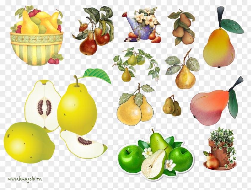 Pear Amygdaloideae Food Vegetarian Cuisine Fruit PNG