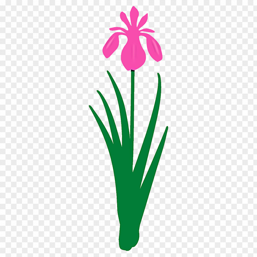 Petal Flowerpot Flower Green Plant Pedicel PNG