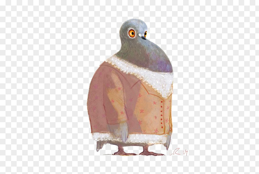 Pigeon Columbidae Illustrator Drawing Illustration PNG