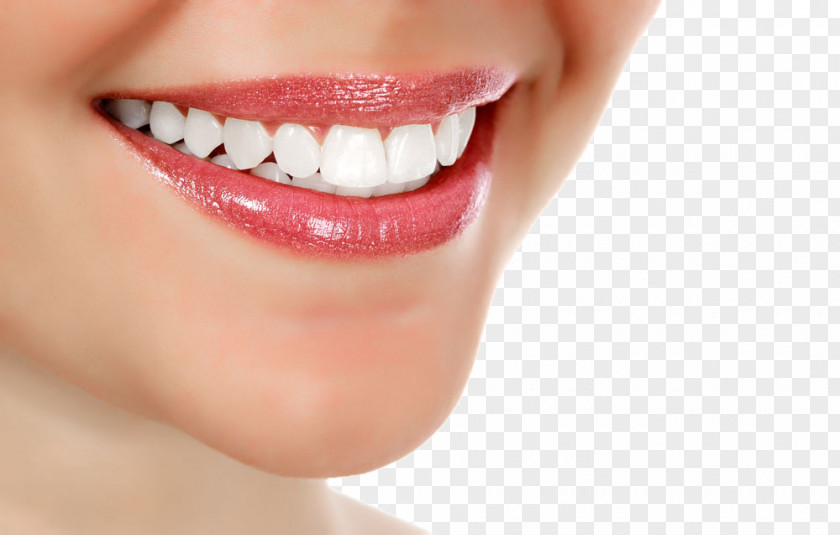 White Teeth Mouthwash Dentistry Tooth Gums PNG
