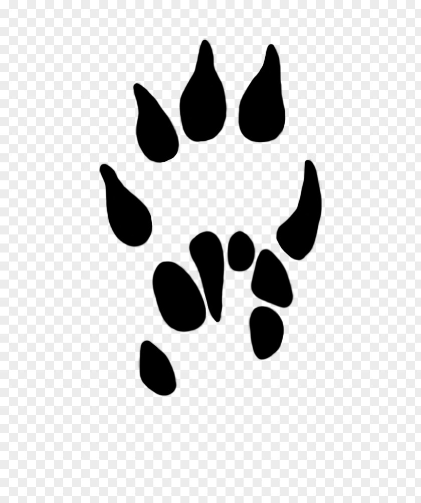 Animal Paw Prints Dog Common Shrew Clip Art PNG