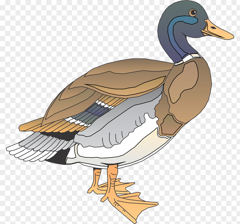 Aves Daisy Duck Bird Wood Clip Art PNG