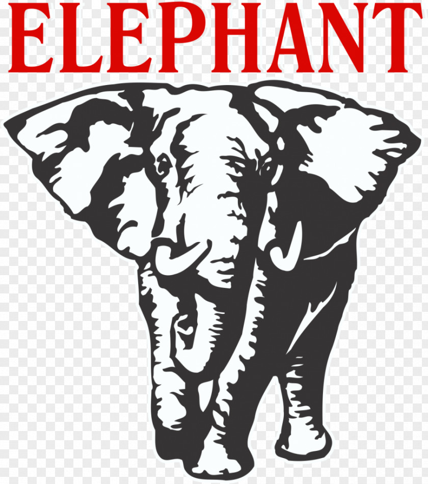Elephany Carlsberg Elephant Beer Group Malt Liquor Lager PNG
