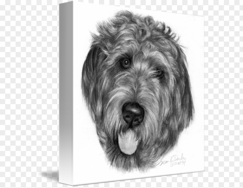 Labradoodle Labrador Retriever Australian Shepherd Drawing Sticker PNG