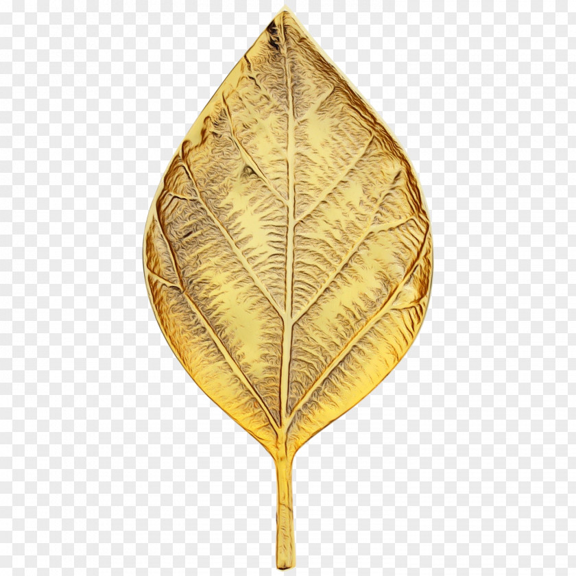 Leaf Plant Tree Swamp Birch Beech PNG