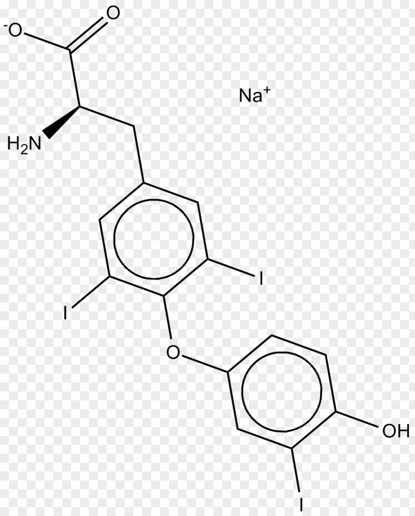 Liothyronine Triiodothyronine Thyroid Hormones Levothyroxine PNG