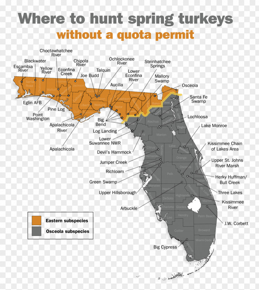 Osceola County, Florida Big Hammock Turkey Hunting Fish And Wildlife Conservation Commission PNG