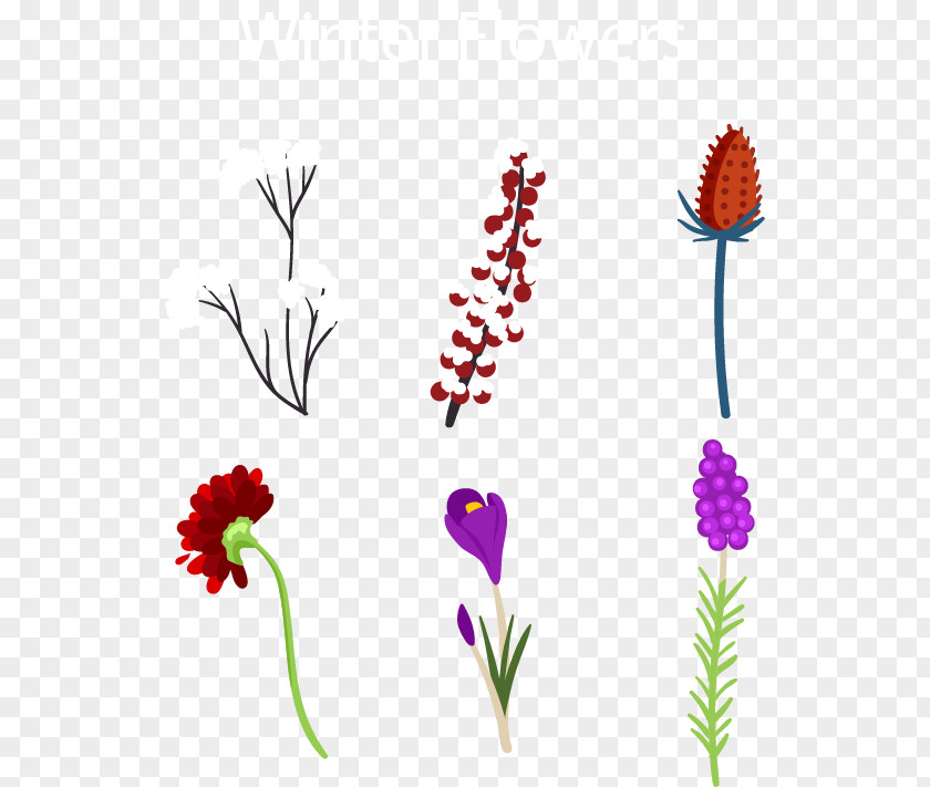 Six Winter Flowers Floral Design Clip Art PNG