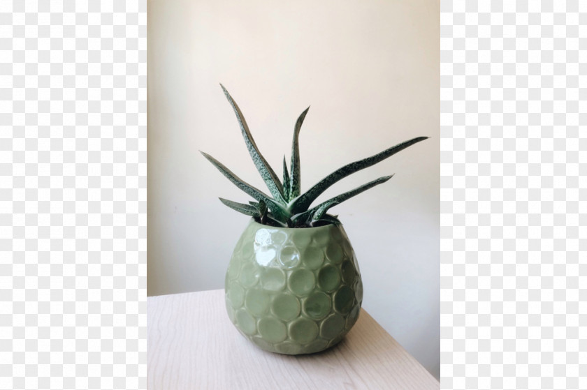 Suculentas Ceramic Flowerpot Agave INAV DBX MSCI AC WORLD SF PNG