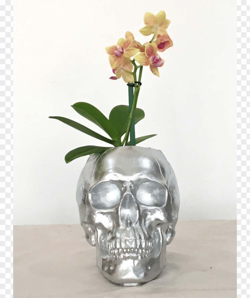 Vase Moth Orchids Floral Design Cut Flowers PNG
