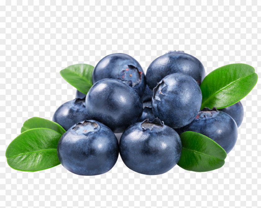 Blueberry Juice Vaccinium Corymbosum PNG