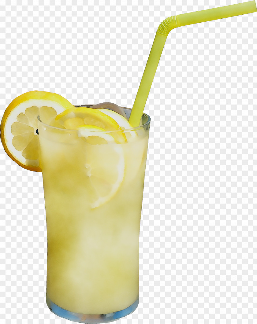 Cocktail Garnish Limeade Bay Breeze Lemonade PNG