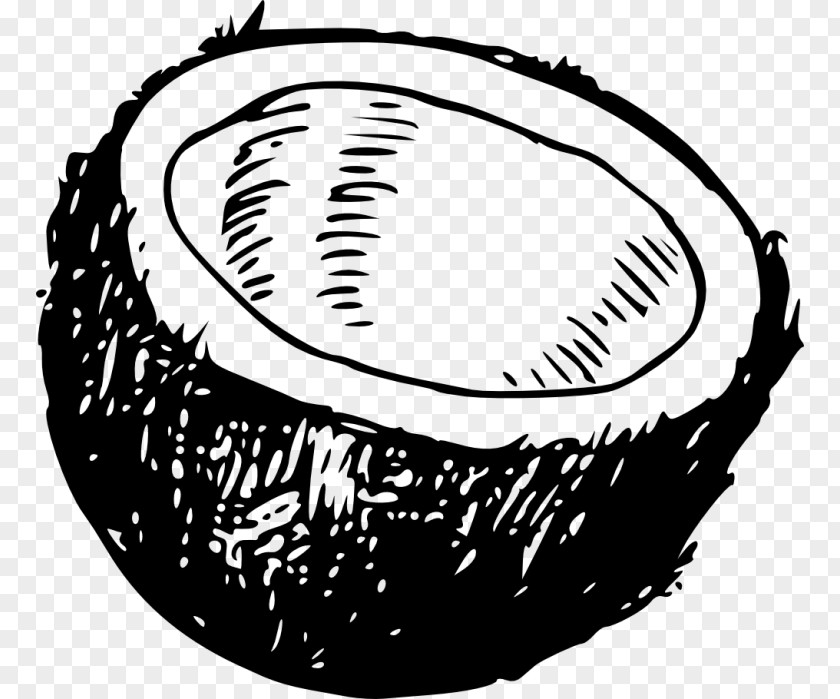Coconut Vector Clipart Clip Art Water Openclipart Free Content PNG