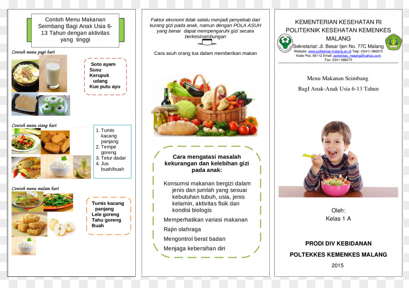 Health Food Pyramid Pamphlet Folded Leaflet PNG
