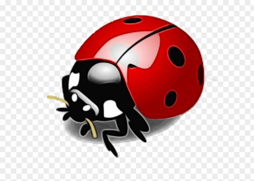 Vector Graphics Clip Art Ladybird Beetle Image Stock.xchng PNG