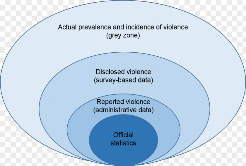 Working Against Violence Support Service Data Collection Women Domestic Statistics PNG