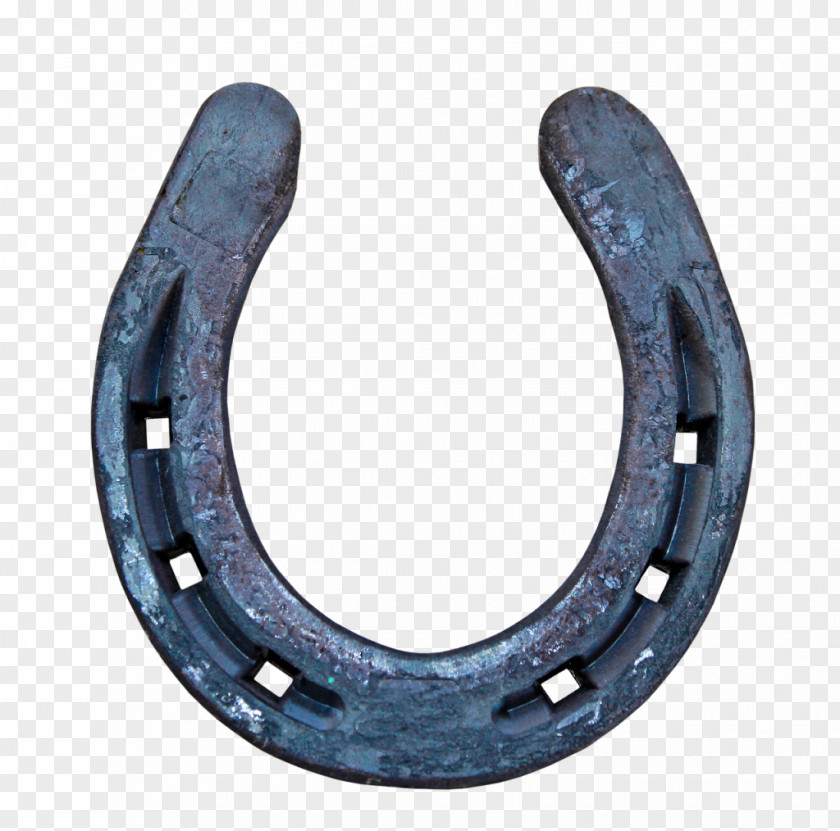 Horseshoe Luck PNG