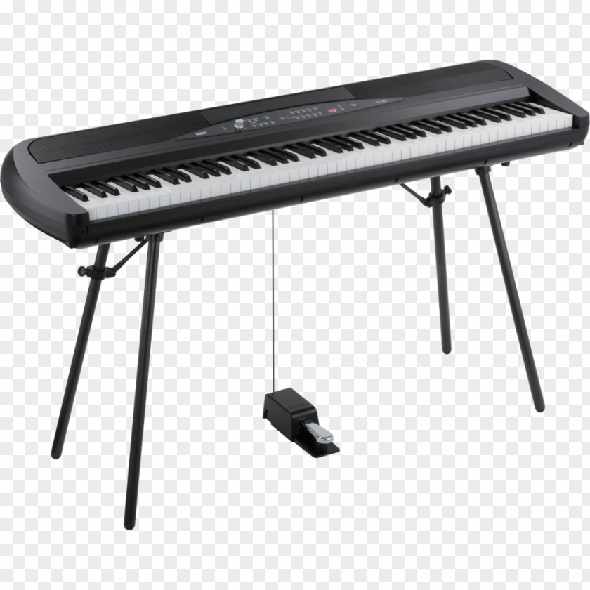 Piano Korg SP-280 Digital Electric Stage PNG