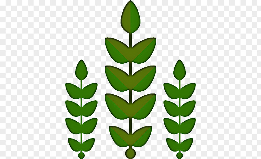 Plant Stem Tree Leaf Green Flower PNG