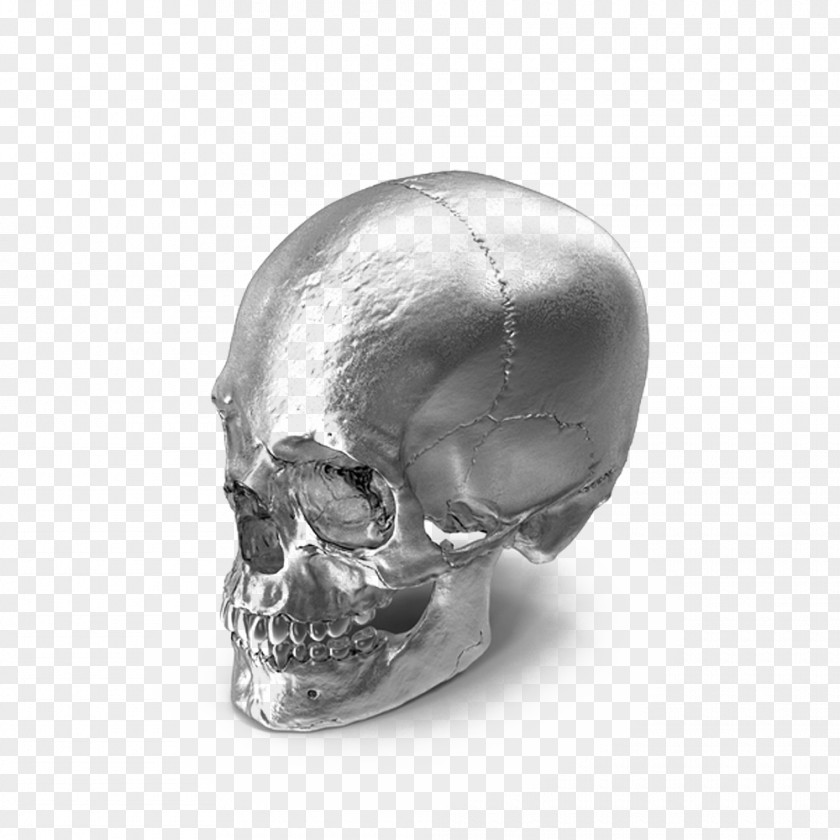 Chrome Skull Model Bone PNG