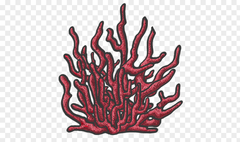 Coral Reef Drawing Invertebrate Tree Font PNG