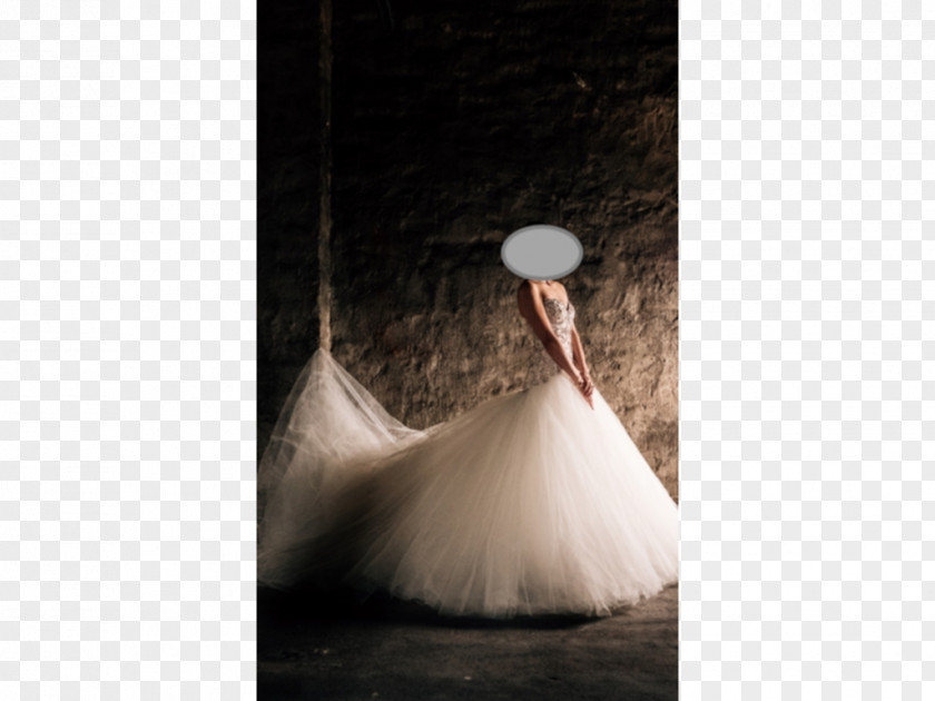 Dress Ball Gown Wedding Tulle PNG