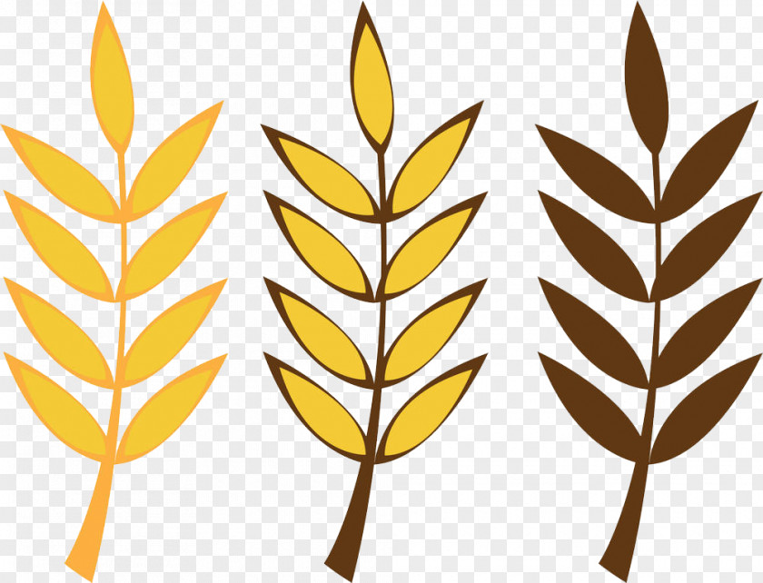 Grains Of Wheat Cartoon Royalty-free Oat PNG
