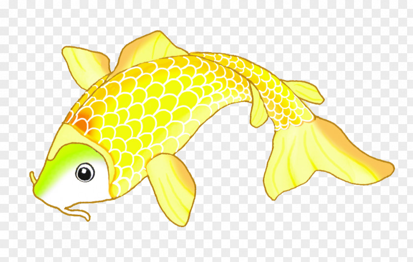 Koi Fish Seafood Animal Yellow Fauna PNG