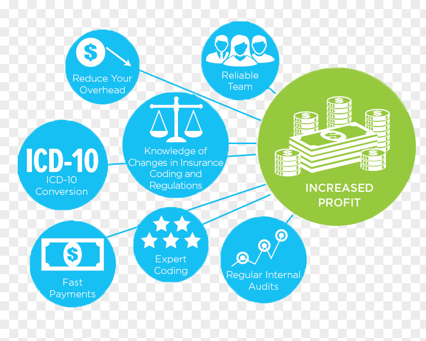 Medical Infographic Billing Clinical Coder Classification Medicine Surgery PNG