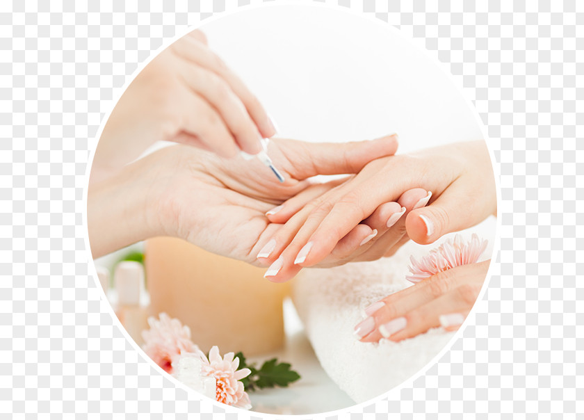 Nail Lotion Manicure Pedicure Beauty Parlour PNG