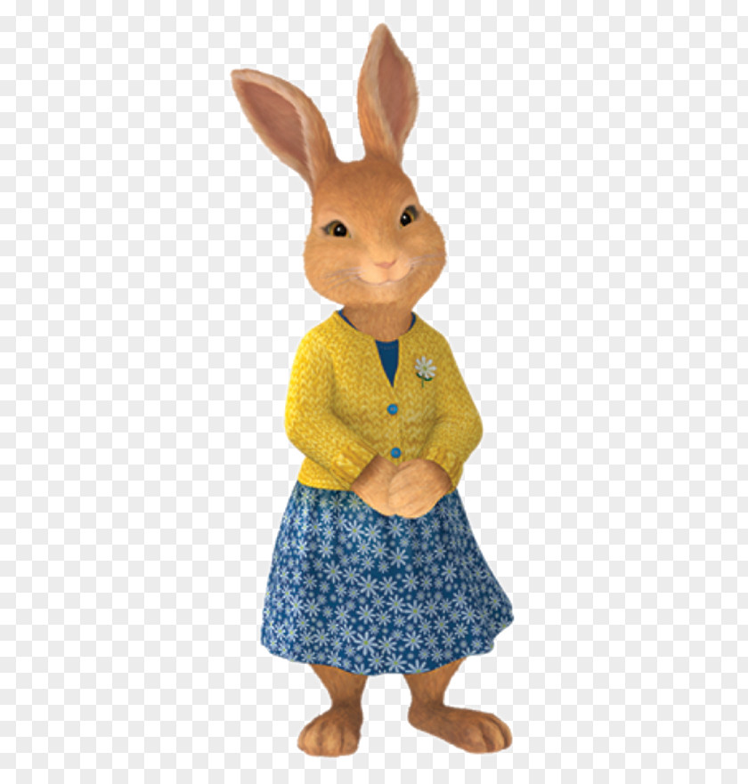 Rabbit The Tale Of Peter Lily Bobtail Character PNG