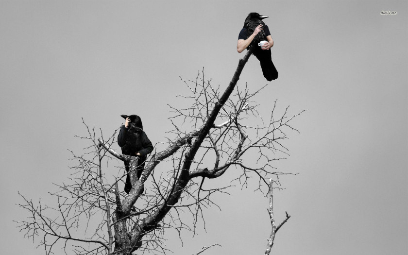 Crow Common Raven Bird Tree Desktop Wallpaper PNG