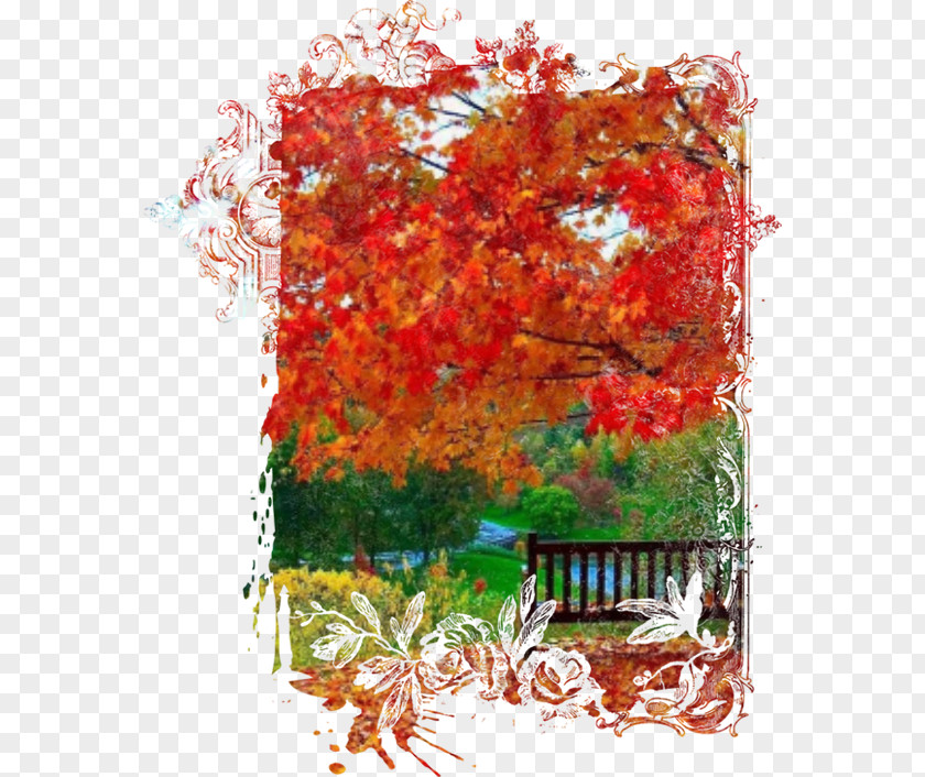 Design Maple Leaf Acrylic Paint Floral PNG