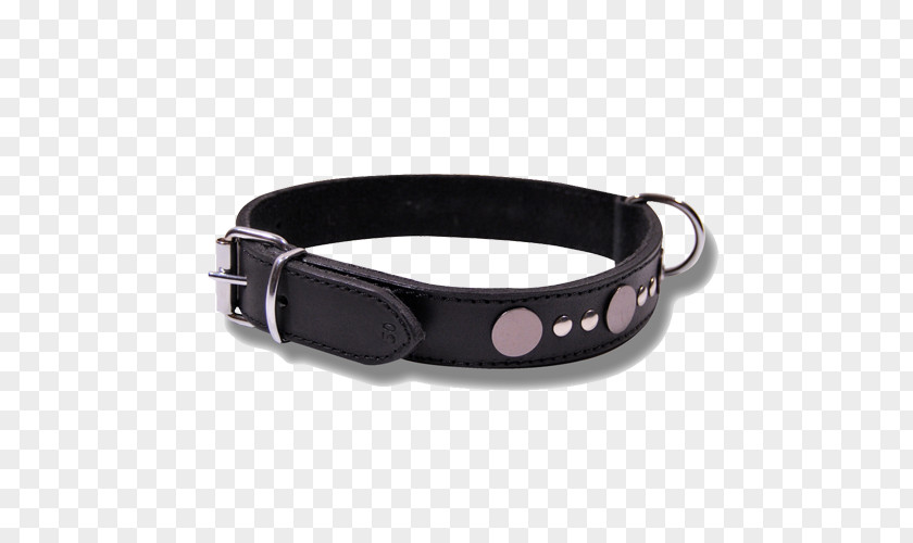 Dog Belt Buckles Collar PNG