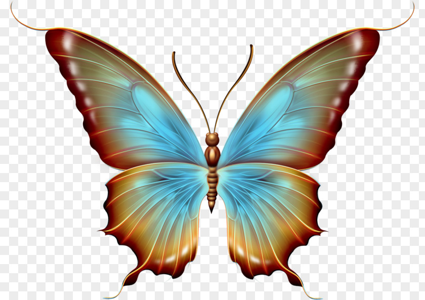 Fictional Character Moth Picsart Background PNG