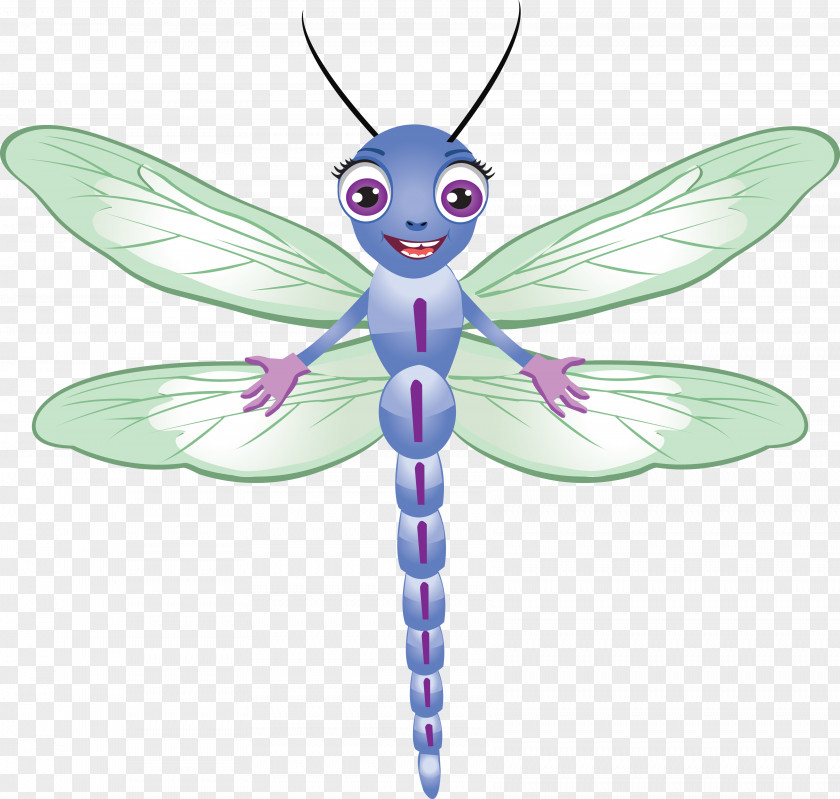 Insect Drawing Animation Cartoon PNG