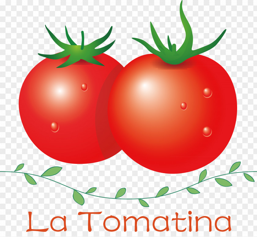 La Tomatina Tomato Throwing Festival PNG