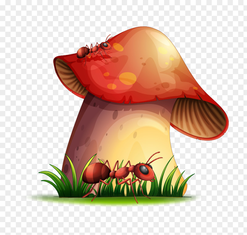 Mushroom,fungus Royalty-free Stock Photography Illustration PNG