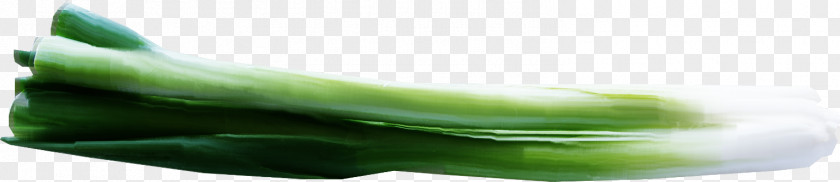 Pretty Green Onion Cucumber Shoe Close-up PNG