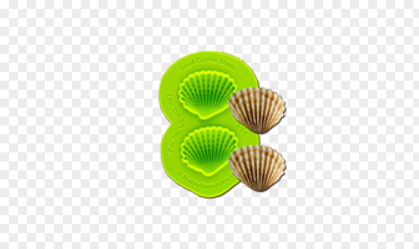 Seashell Cockle Mold Cupcake Muffin PNG