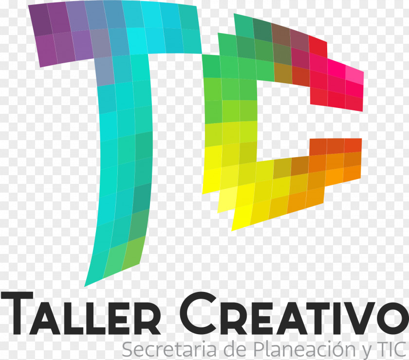 Taller Logo Report Brand Text PNG