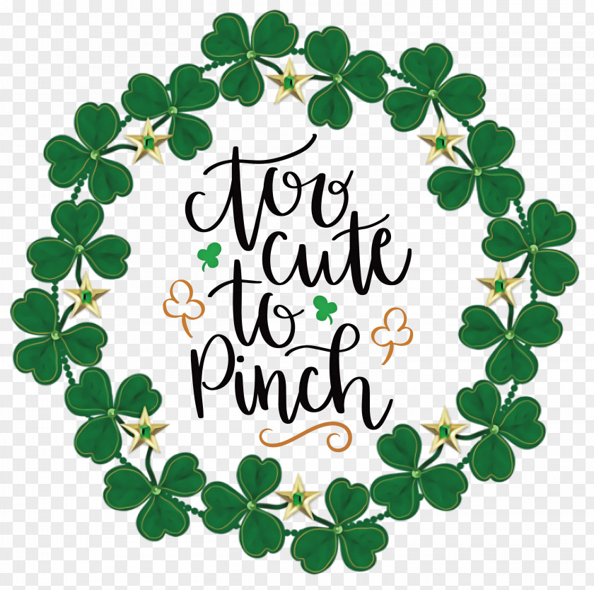 Too Cute_to Pinch St Patricks Day PNG