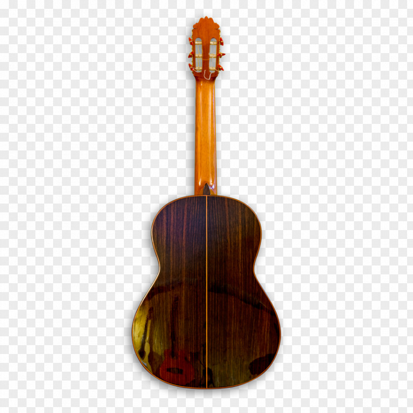 Acoustic Guitar Tiple Bass Acoustic-electric PNG
