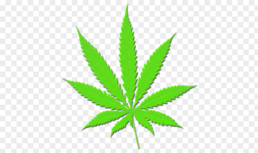 Cannabis Sativa Medical Marijuana Hashish PNG
