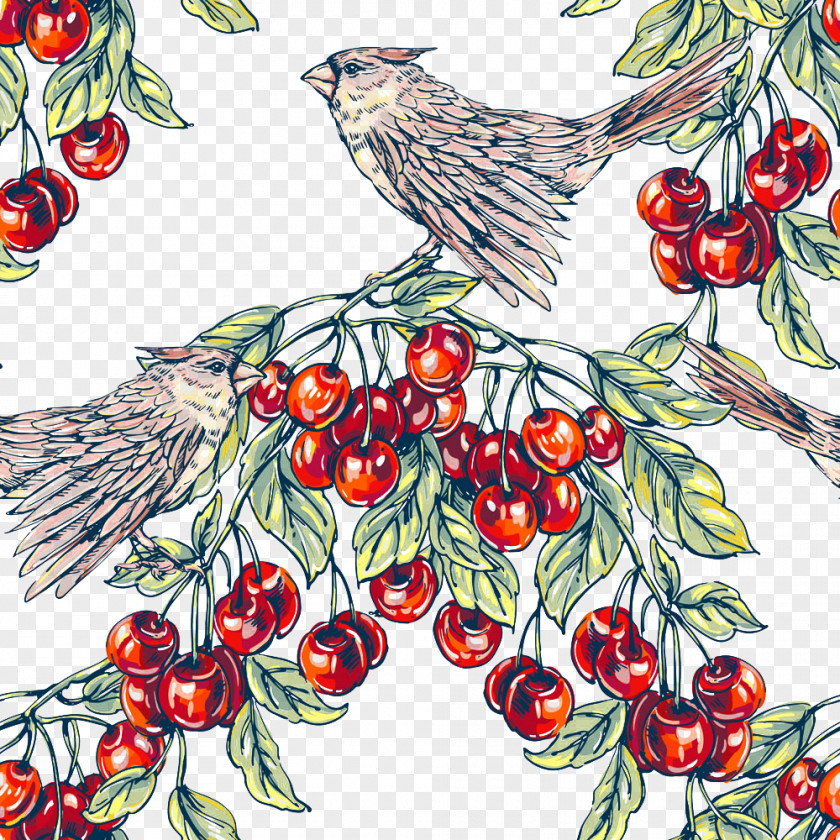 Cherry Bird Illustration Painting PNG