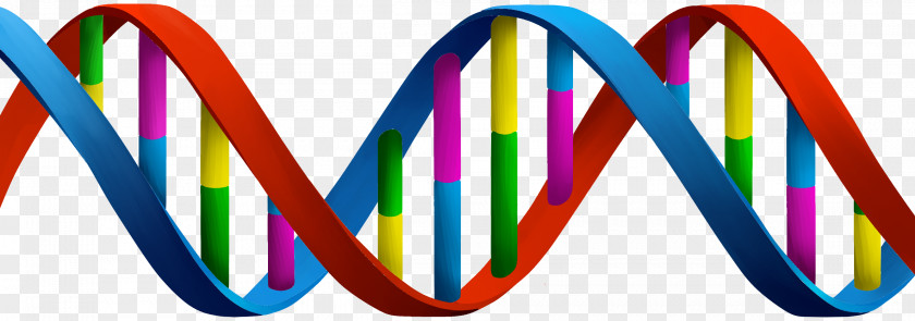 DNA Genealogical Test Cell Nucleus MSA Worldwide PNG