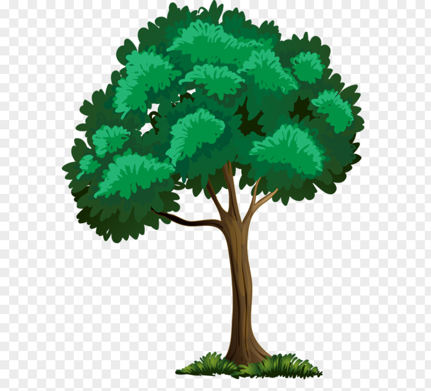 Fast Growing Trees Cattle Vector Graphics Clip Art Royalty-free Illustration PNG