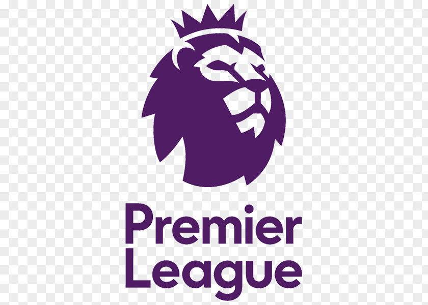 Football Fan 2017–18 Premier League 2016–17 2018–19 2015–16 West Bromwich Albion F.C. PNG