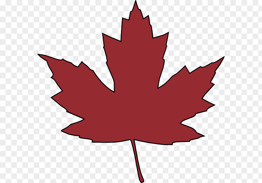 Maple Plane Leaf PNG