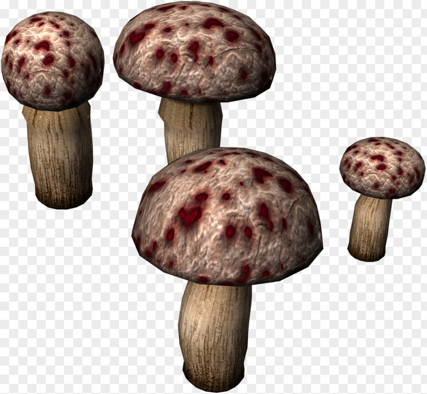 Mushroom Toad Clip Art PNG